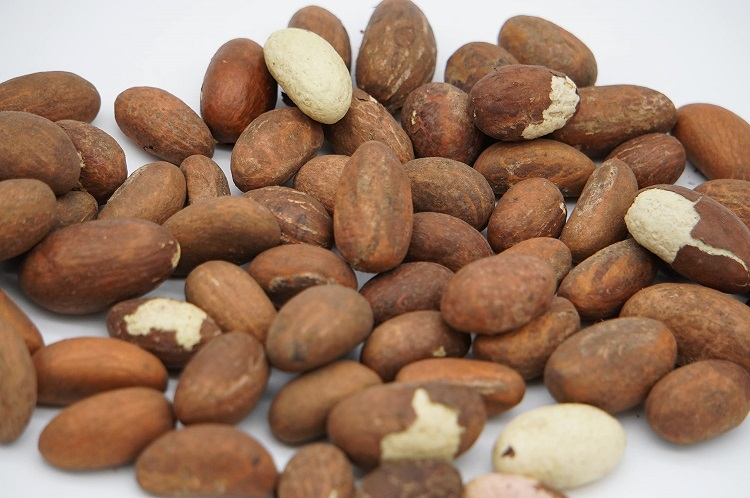 Best African Bitter Kola Nuts