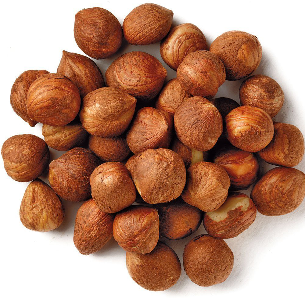 Top Quality Hazelnuts / Hazel Nuts