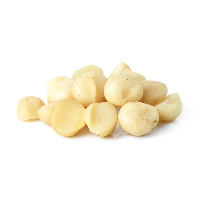 Premium Macadamia Nuts