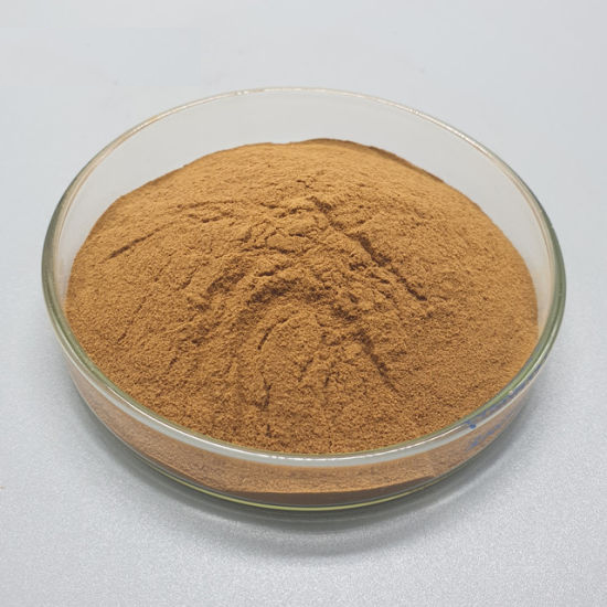 High-Quality Saponin Powder