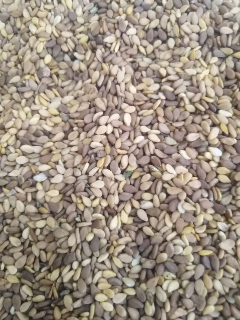 Brown Sesame Seeds