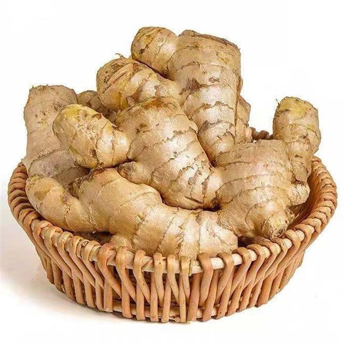Fresh Ginger Manufacturer Wholesale 100% Natural Yellow Premium Fresh Refreshing And Delicious Organic Ginger
