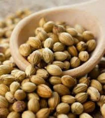 Coriander Seeds For Sell