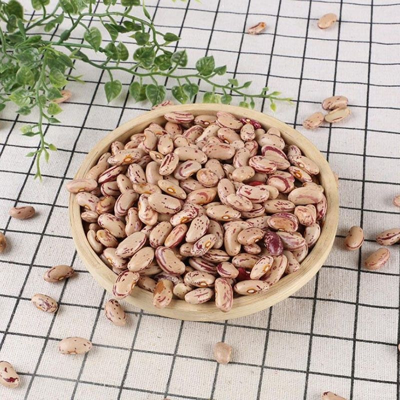 100% Light Speckled Kidney Beans / Pinto Beans / Sugar Beans