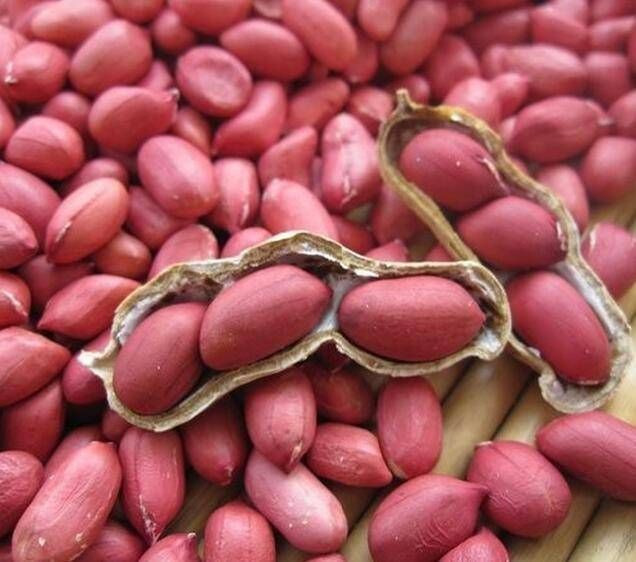 100% organic Arachis Peanut ,Dried Kernel Peanuts Groundnut Raw/Fresh Red Skin arachid for sale