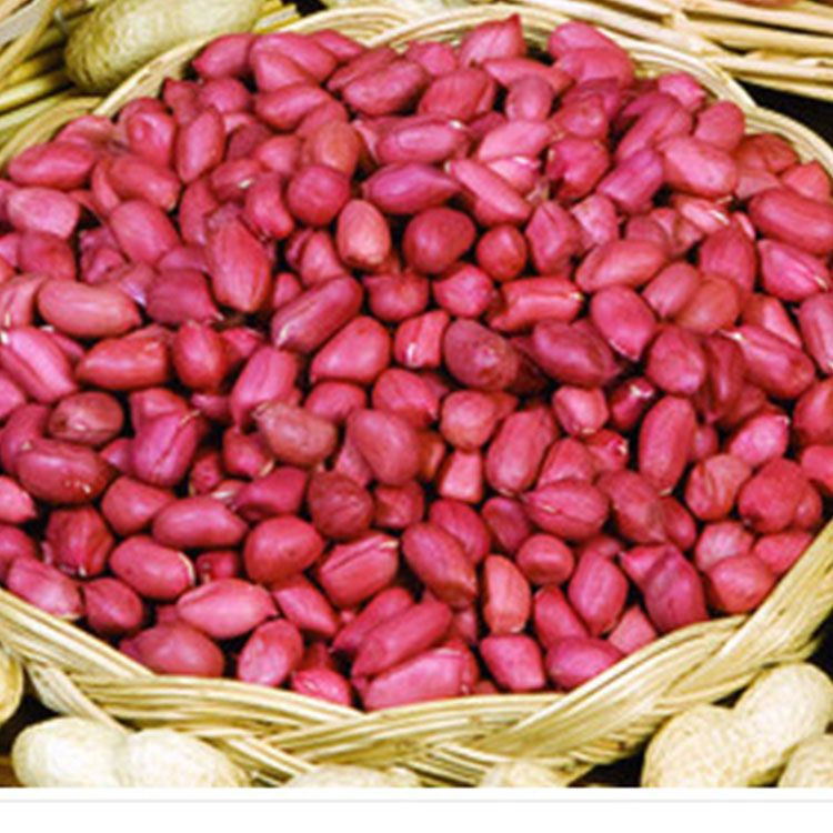 Hot Sale High Protein Red Skin Peanuts
