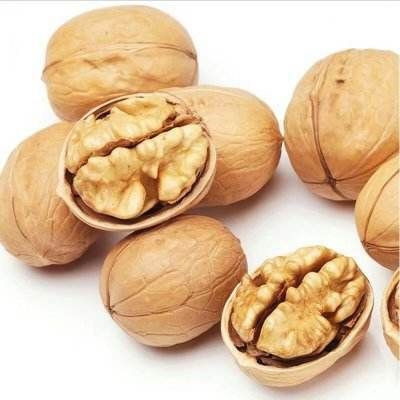 Certified Raw Walnuts with Shell /Unshelled Walnut Kernel