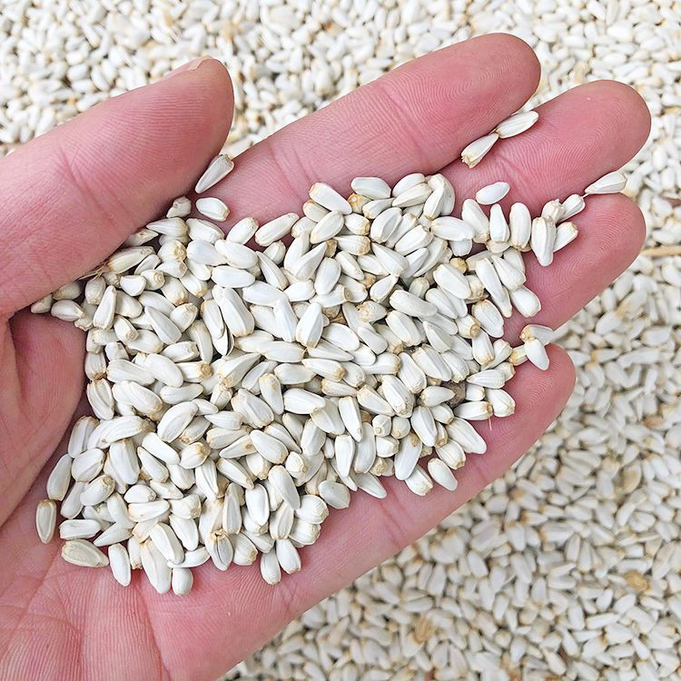 White Safflower Seeds