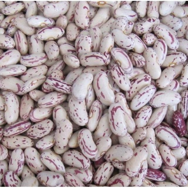 New Crop Light Speckled Kidney Beans/Lskb/pinto beans/sugar beans