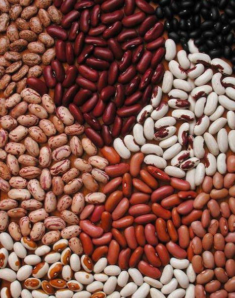 Natural Organic Beans White - Red Bean / from UKRAINE