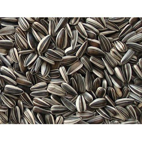 Best Quality Sunflower Seeds