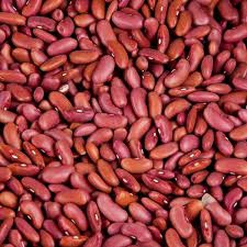 High Quality Bulk Dried Red Kidney Beans For Sale
