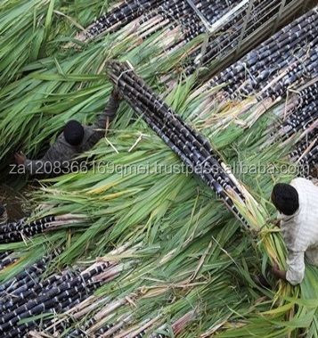 Sugar cane alcohol 96%