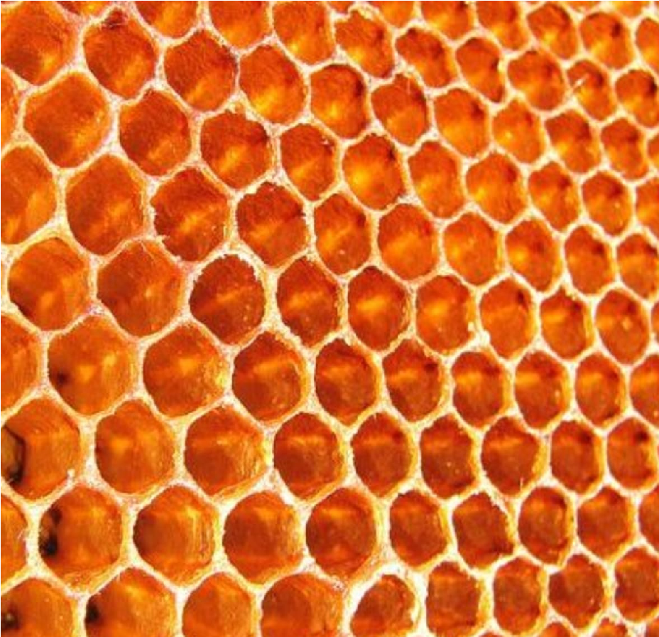 Hexagonal Honey