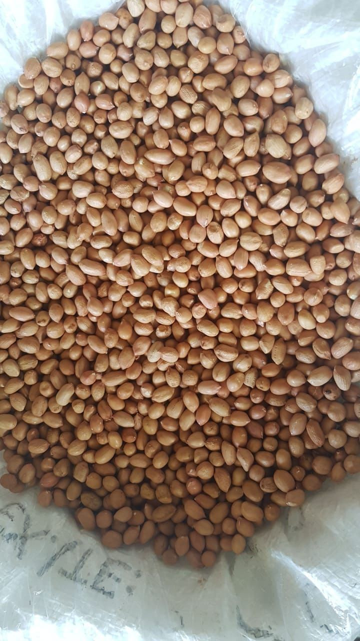 Raw Peanuts Kernel