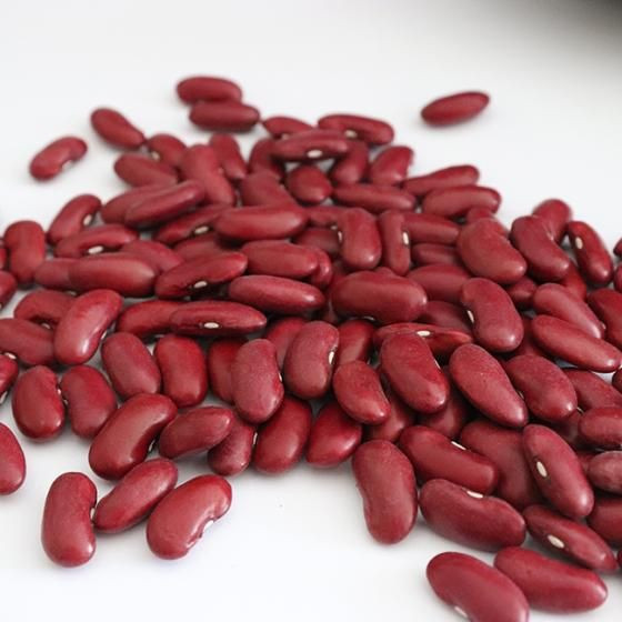 Pinto Bean Red Speckled Kidney Beans