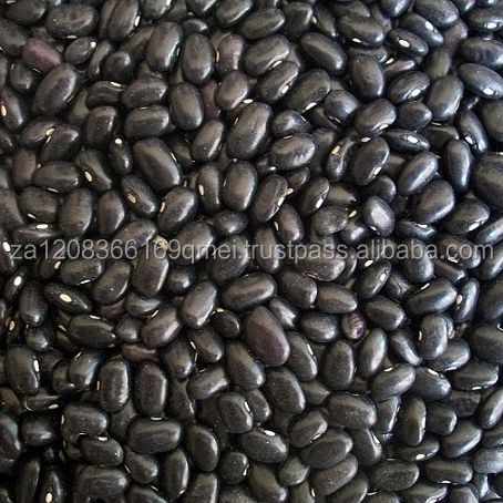 BLACK KIDNEY BEANS / BLACK BEANS