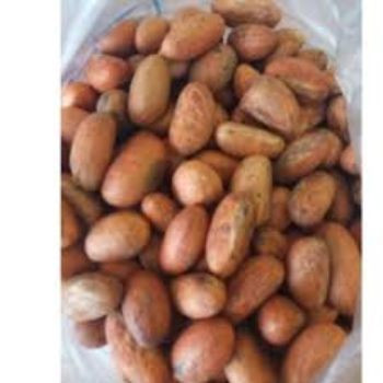 High Quality Bitter Kola / Garcinia Nut /Natural Fresh Kola Nuts