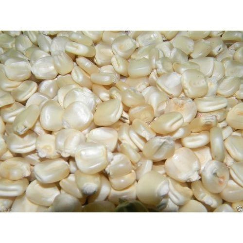 cheap price High quality Yellow Corn/Maize for Animal Feed for sale