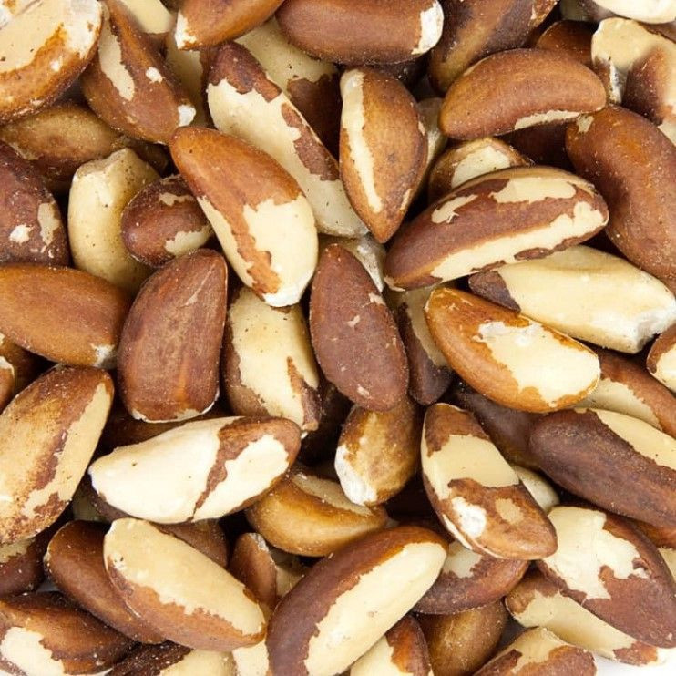 Top quality delicious brazil nuts