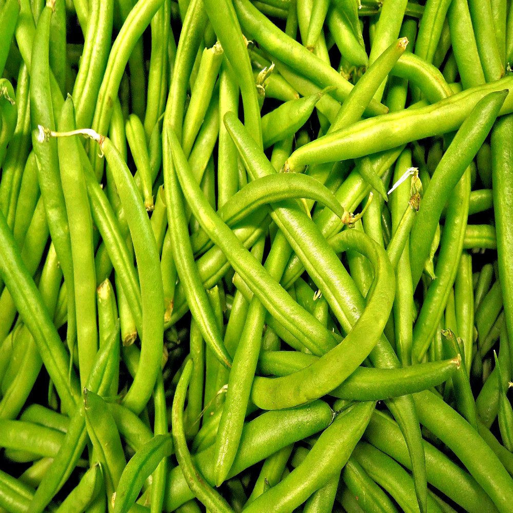 Fresh And Frozen Cut Green Beans with Good Price