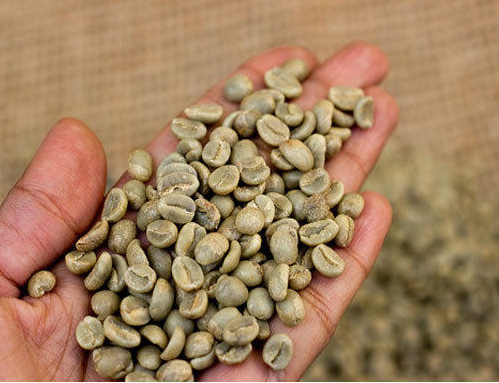 Quality Arabica green coffee beans