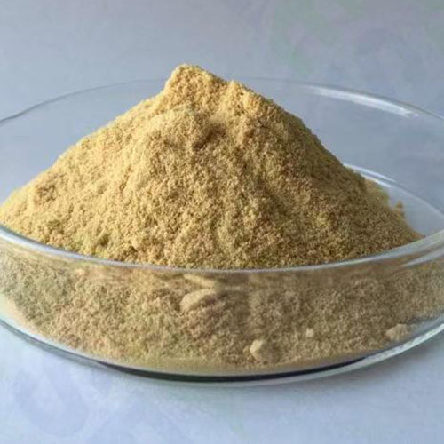 Top-Grade Saponin Powder