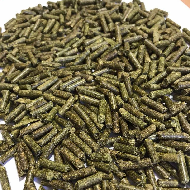 Alfalfa Pellets For Animal Feeds