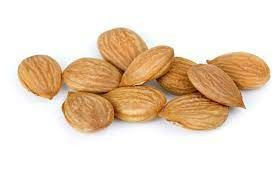 Manufacturer Wholesale Bitter Apricot Kernels Bitter Almond Nuts For Sale
