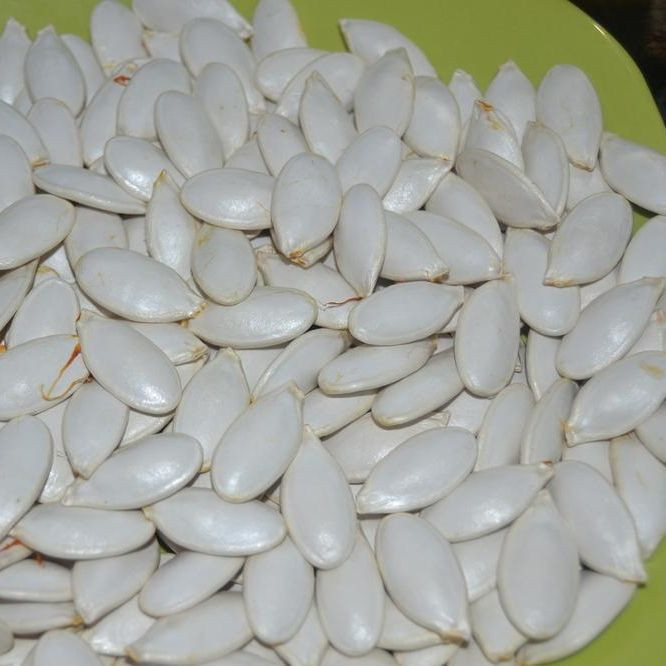 quality shine skin/snow white pumpkin seeds for sale