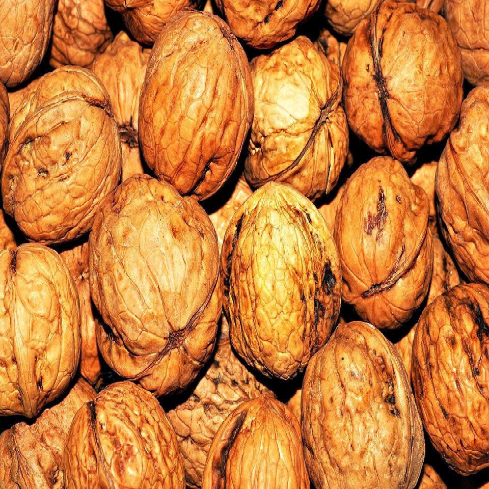 Raw Walnuts for sale