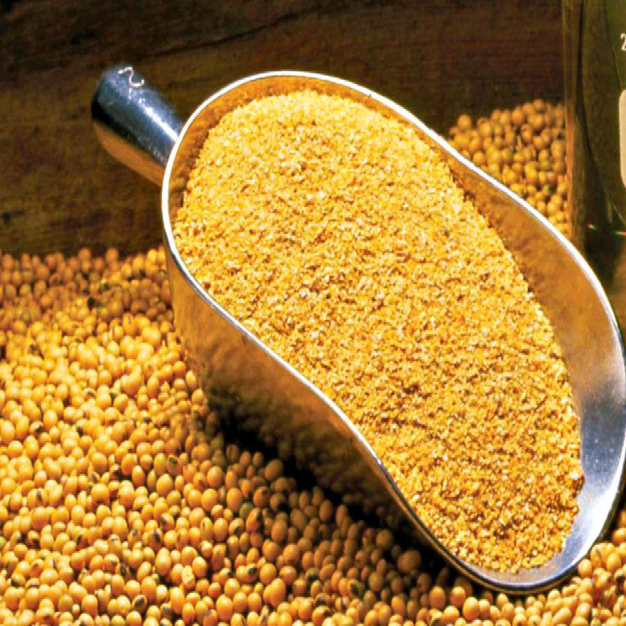 Soyabean meal for animal feed for sale